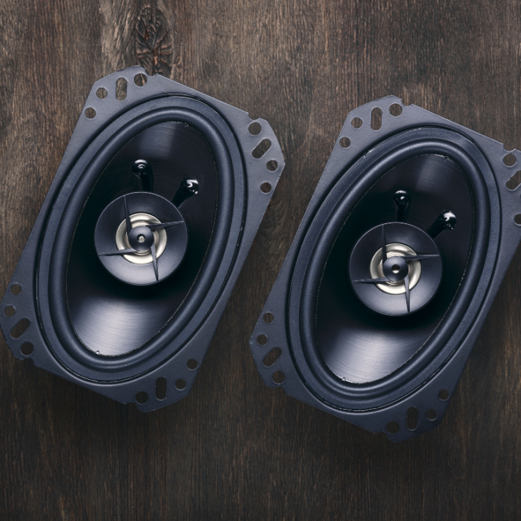 Oval Speakers